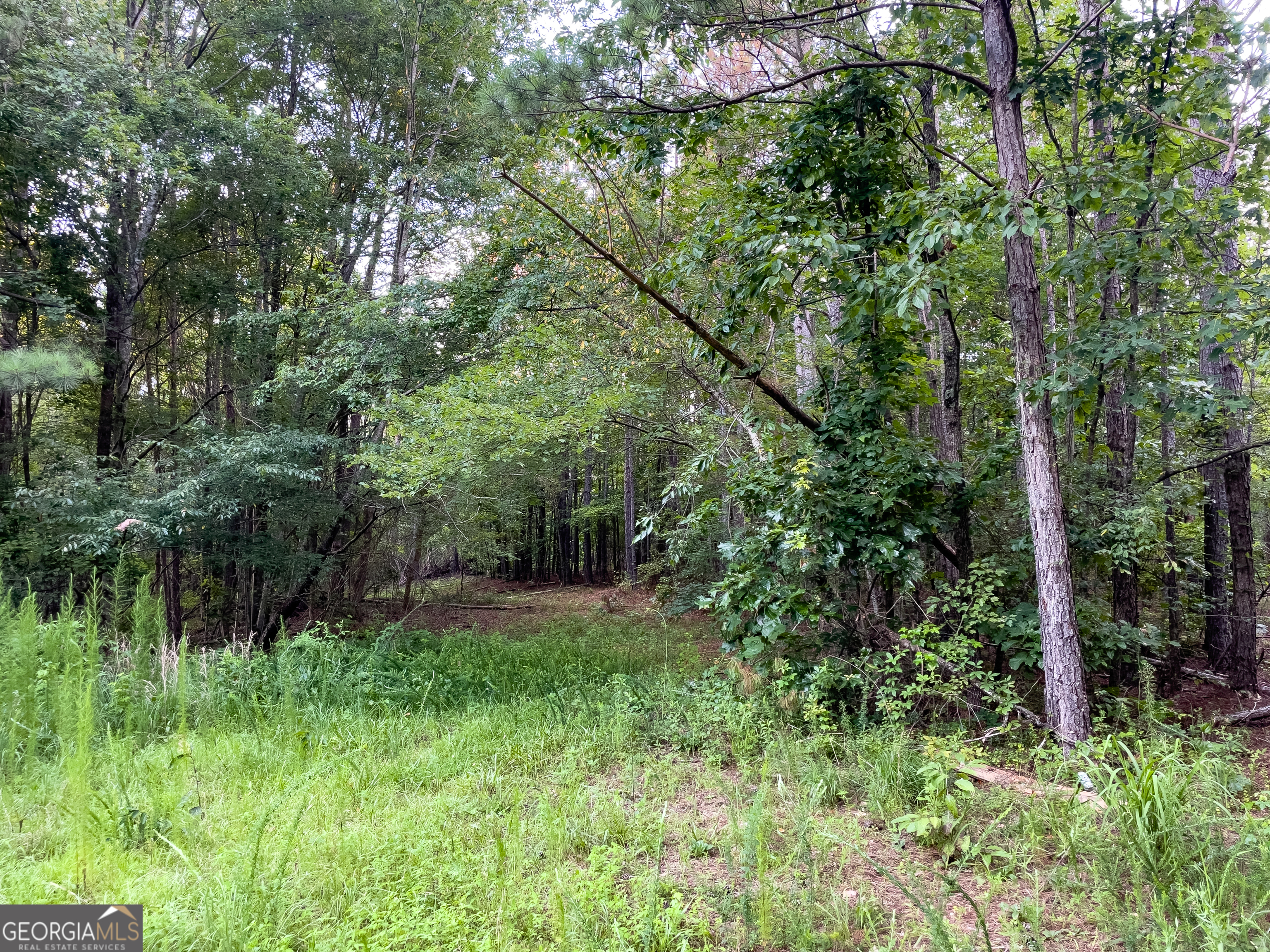 0 Caney Head Road Roopville, GA 30170 - Photo 13 of 22 a backyard of a house with lots of green space and fountain