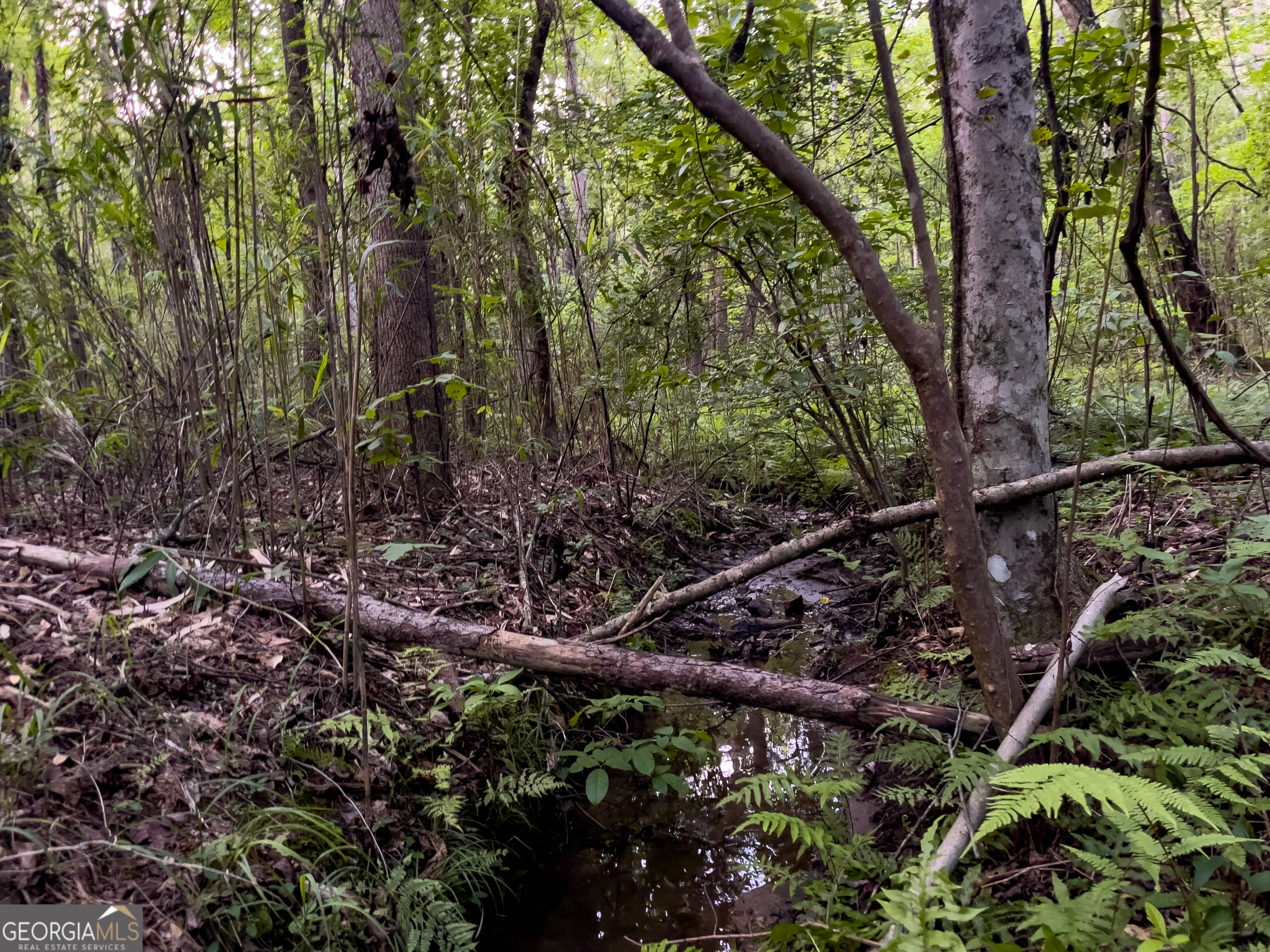 0 Caney Head Road Roopville, GA 30170 - Photo 22 of 22 a backyard of a house with lots of green space