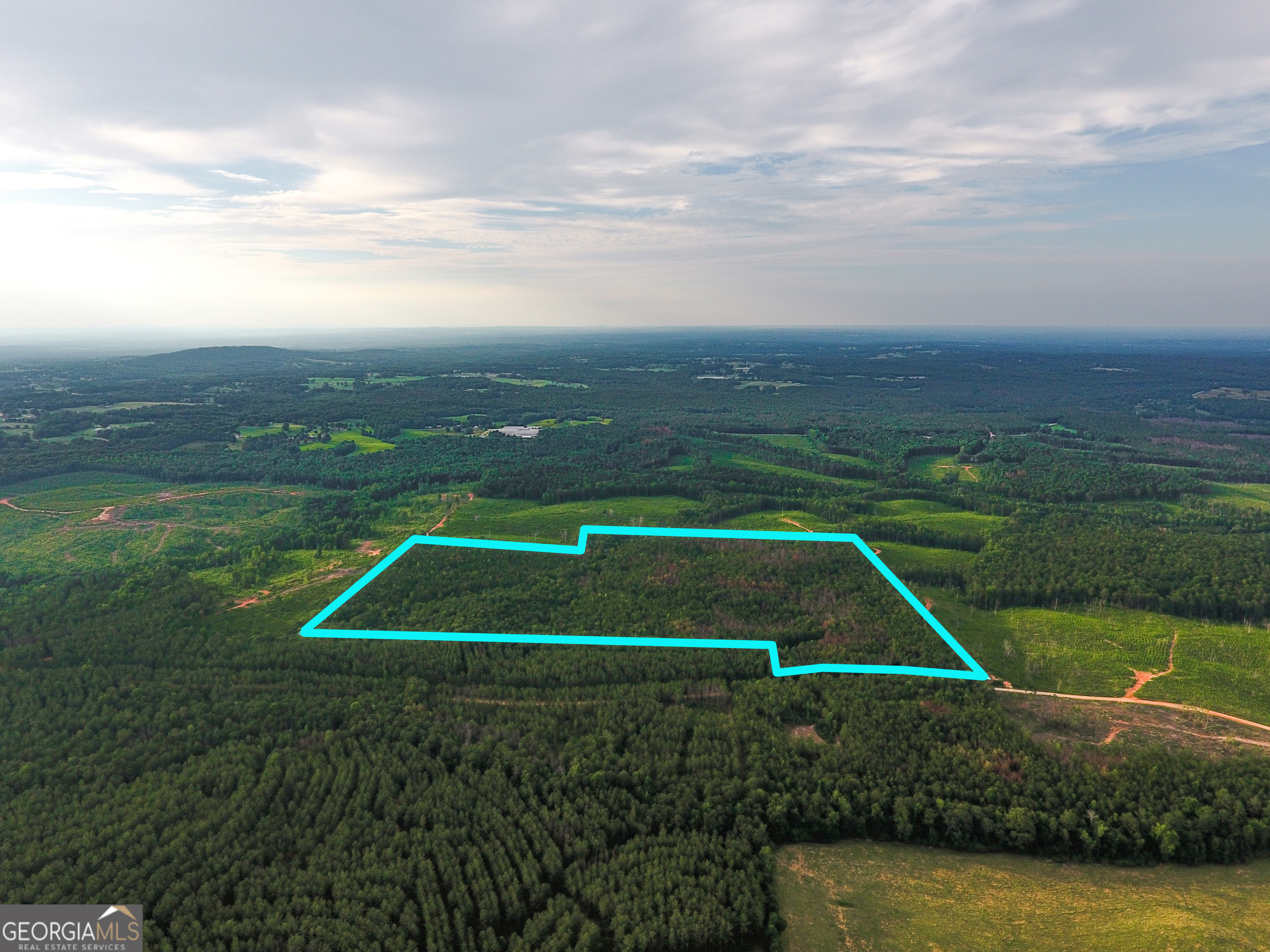 0 Caney Head Road Roopville, GA 30170 - Photo 6 of 22