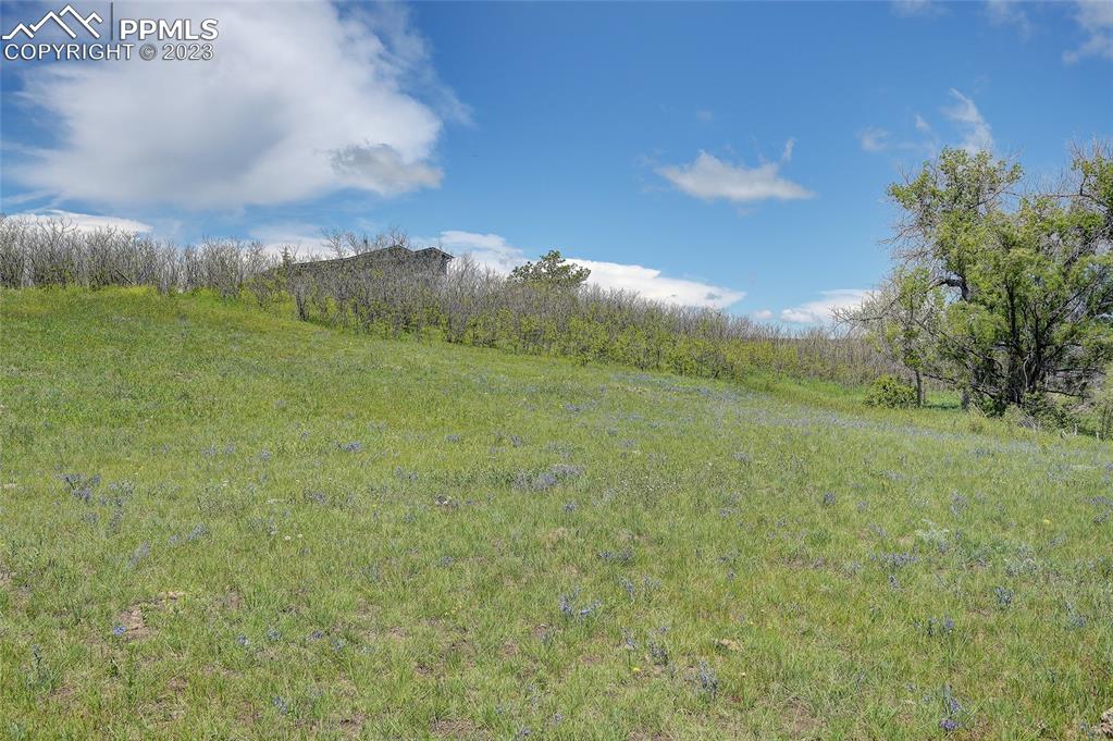 13880 Eastonville Road Elbert, CO 80106 - Photo 43 of 44 a view of a big yard with large trees