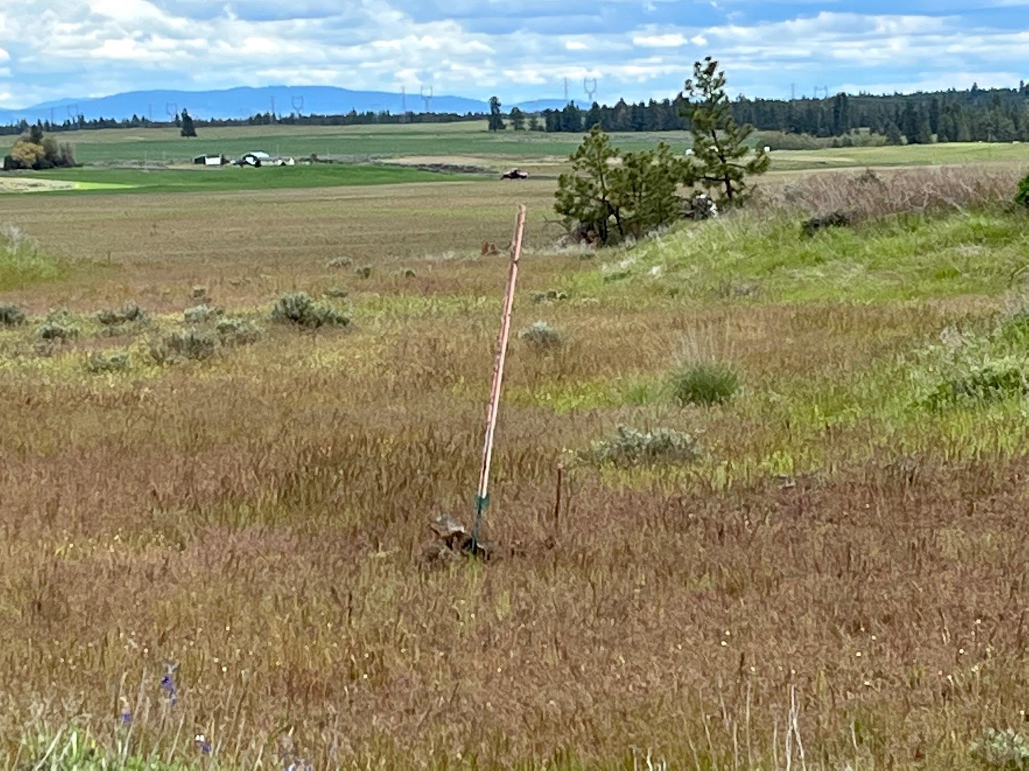 249017 West Kitt Road Reardan, WA 99029 - Photo 15 of 44