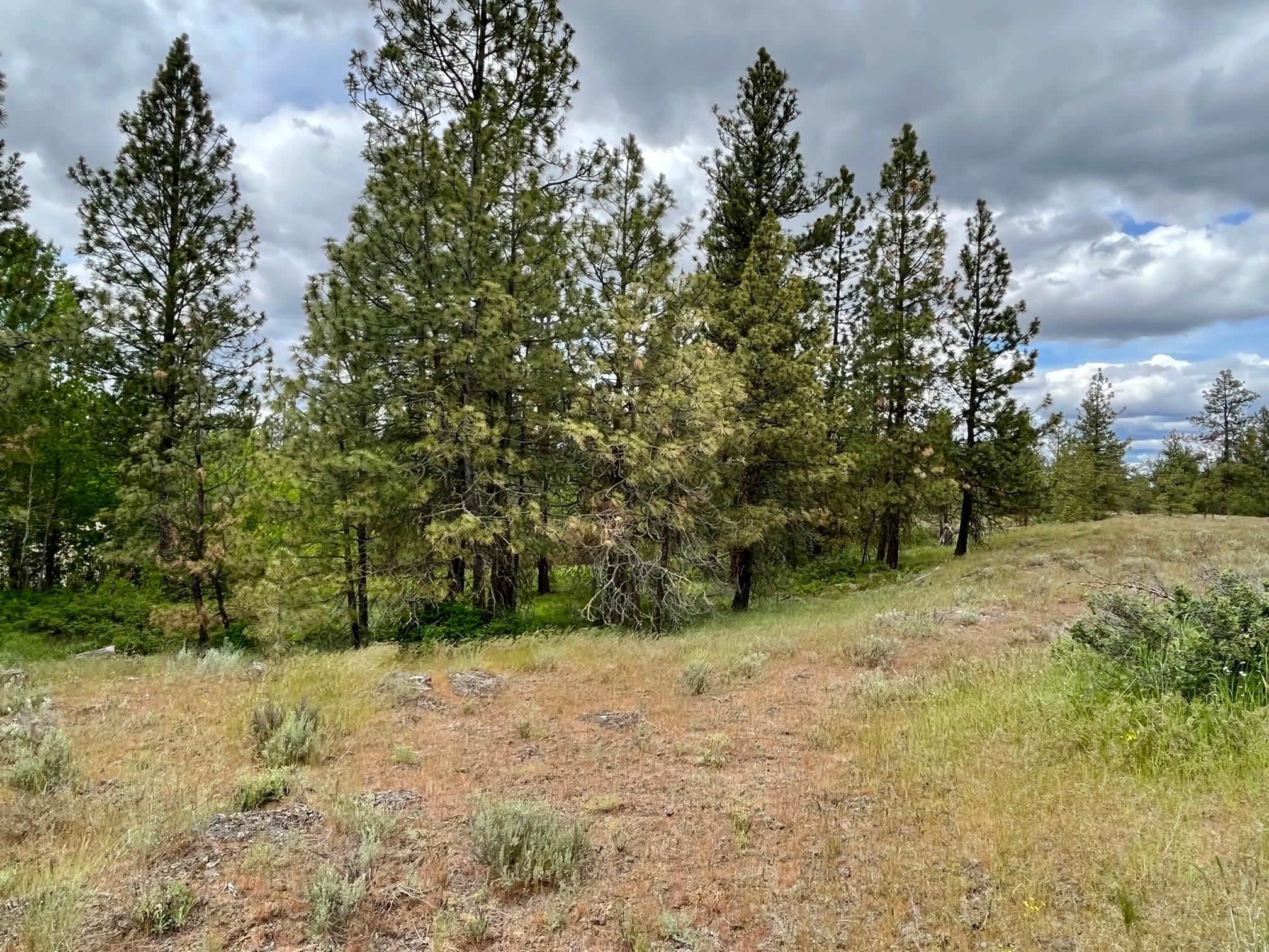 249017 West Kitt Road Reardan, WA 99029 - Photo 17 of 44