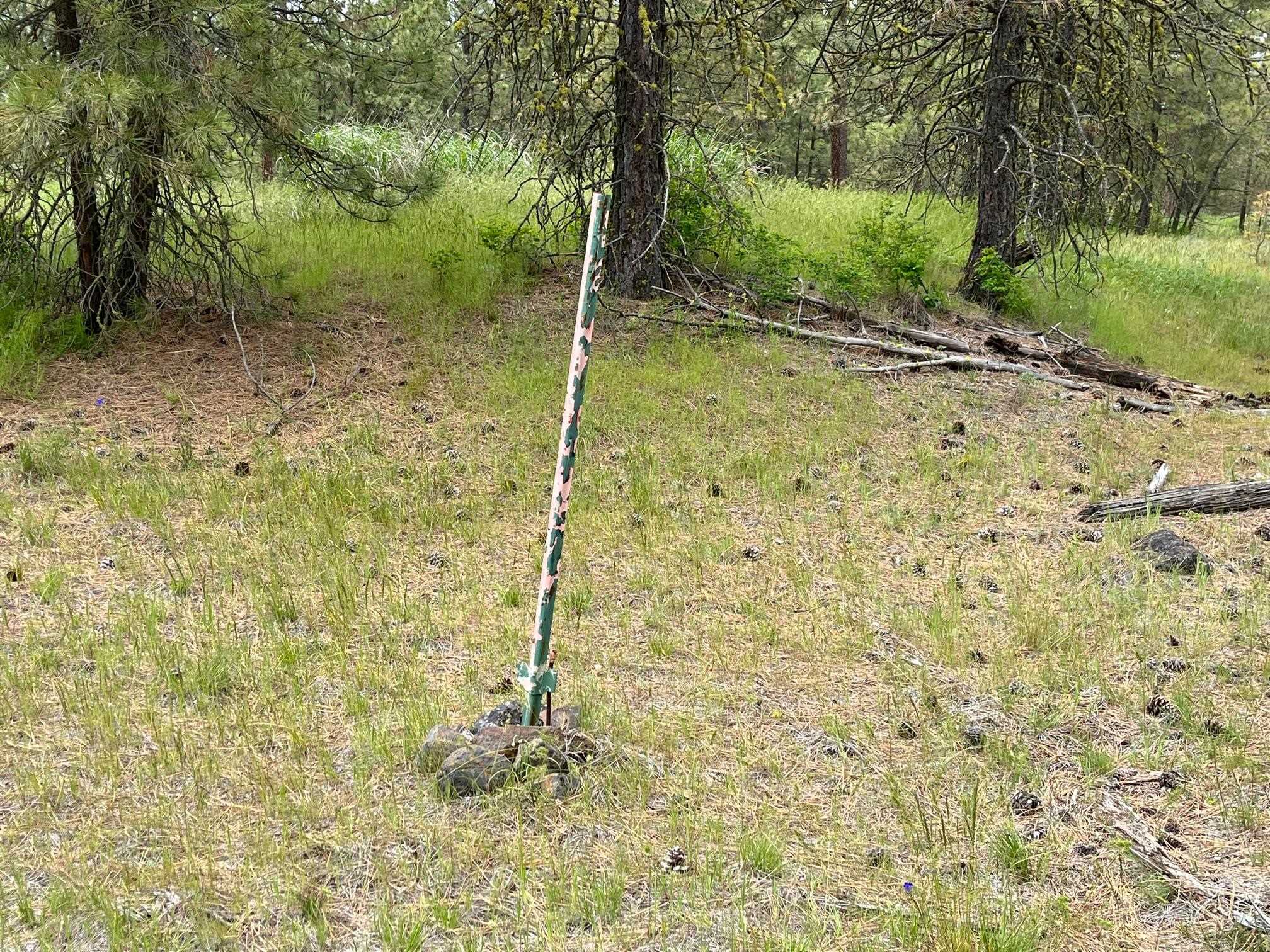 249017 West Kitt Road Reardan, WA 99029 - Photo 21 of 44