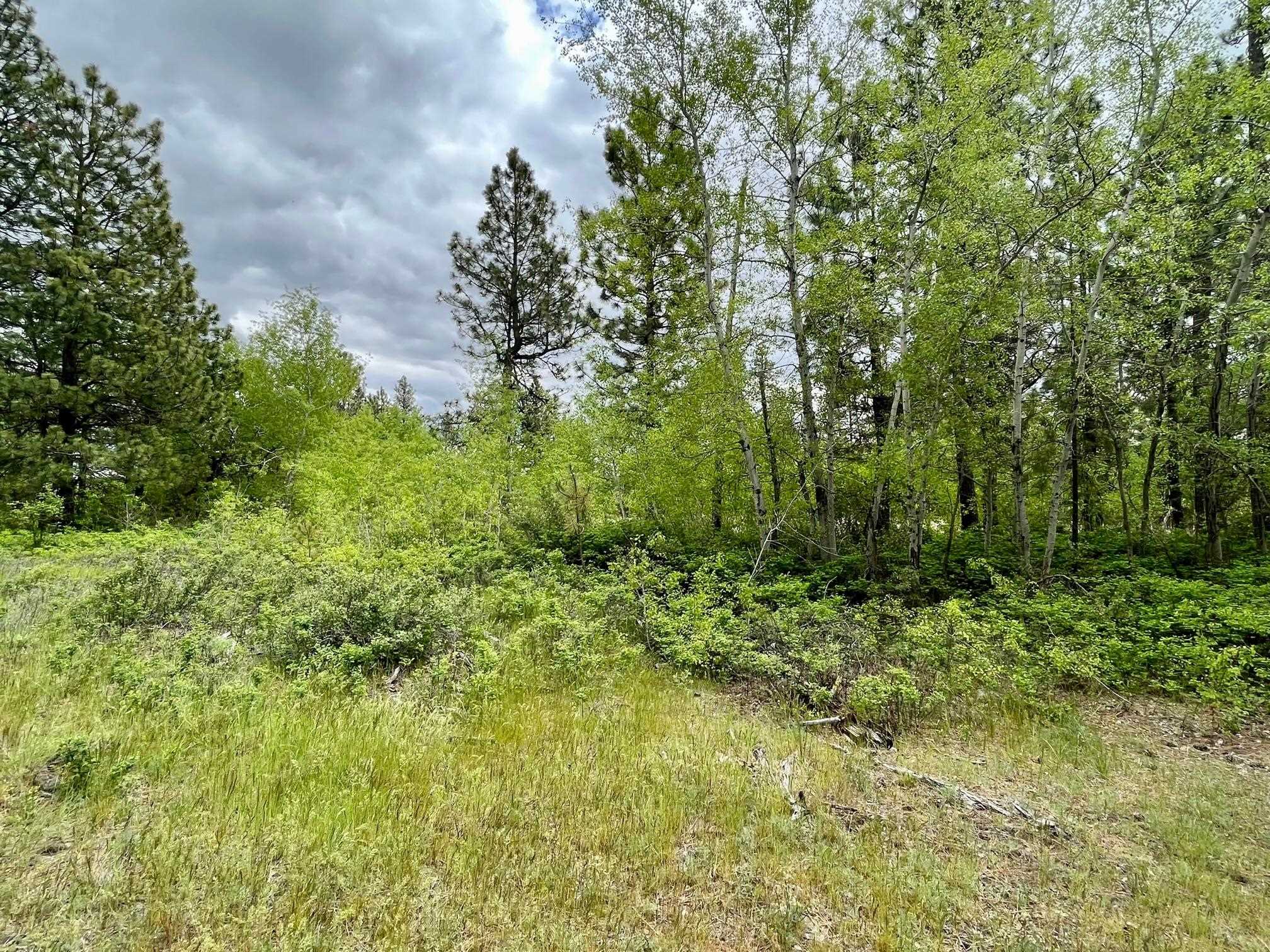 249017 West Kitt Road Reardan, WA 99029 - Photo 32 of 44