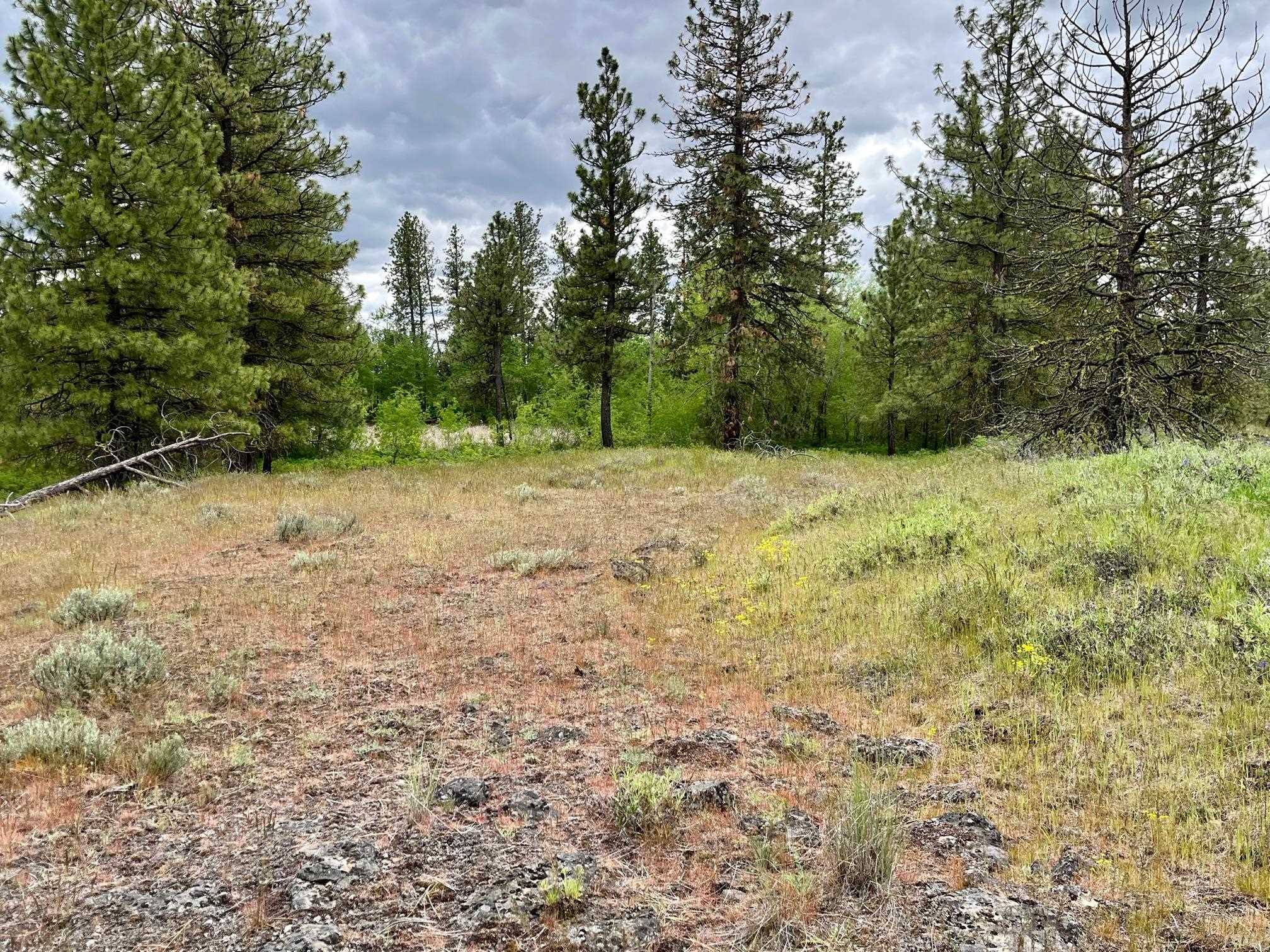 249017 West Kitt Road Reardan, WA 99029 - Photo 37 of 44