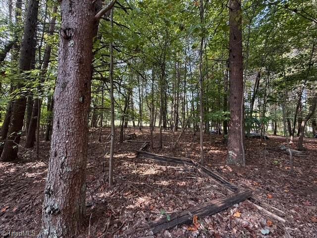 0 Belewsfield Road Stokesdale, NC 27357 - Photo 3 of 11 Wooded Lot