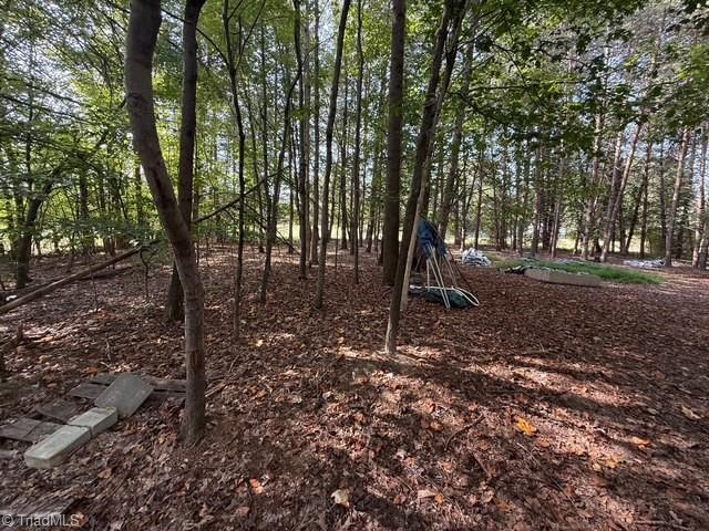 0 Belewsfield Road Stokesdale, NC 27357 - Photo 4 of 11 Gallery Image 4