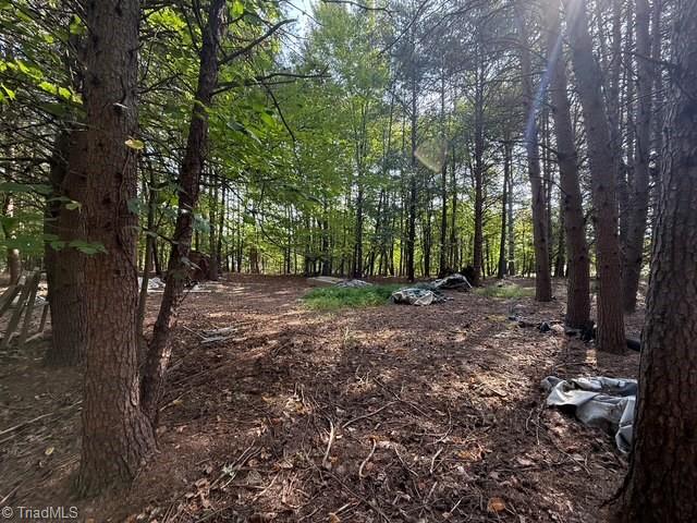 0 Belewsfield Road Stokesdale, NC 27357 - Photo 5 of 11 Gallery Image 5