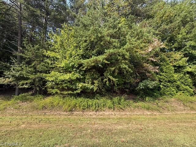 0 Belewsfield Road Stokesdale, NC 27357 - Photo 6 of 11 Good Road Frontage