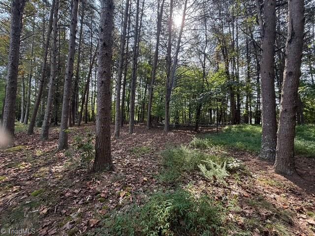 0 Belewsfield Road Stokesdale, NC 27357 - Photo 7 of 11 Gallery Image 7