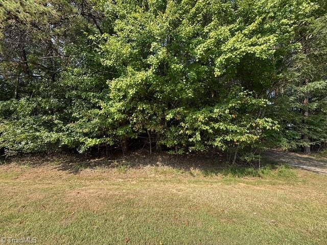0 Belewsfield Road Stokesdale, NC 27357 - Photo 8 of 11 Gallery Image 8