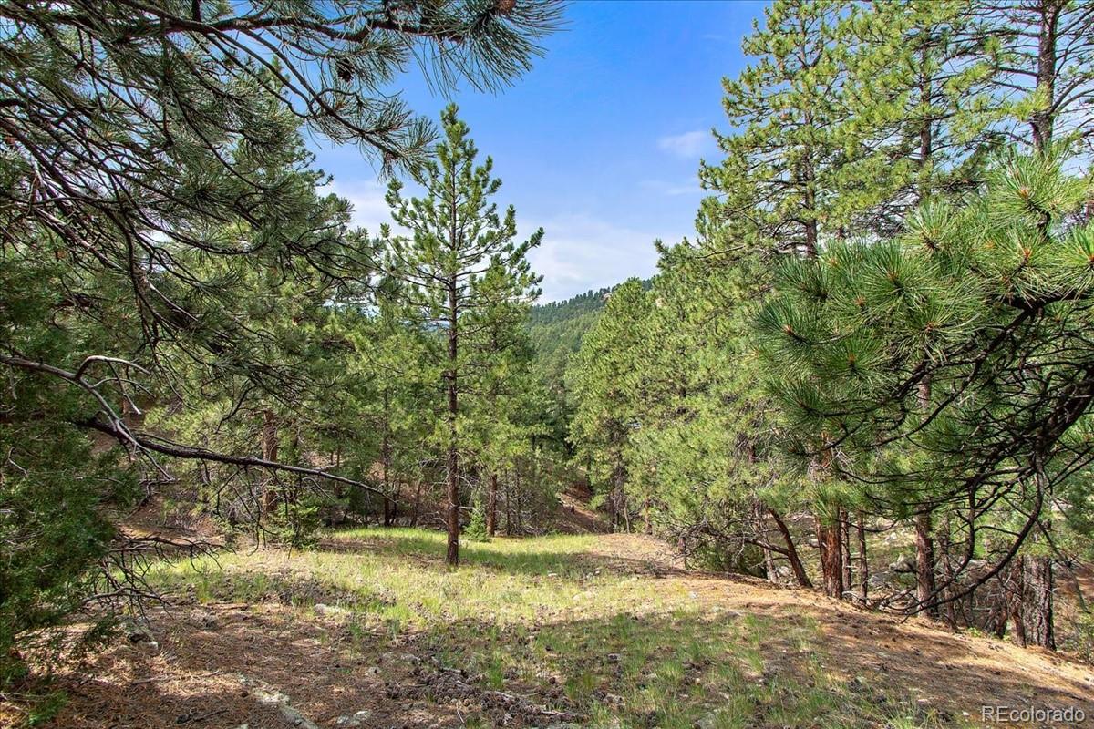 0 Swede Gulch Road Evergreen, CO 80439 - Photo 1 of 22 Gallery Image 1