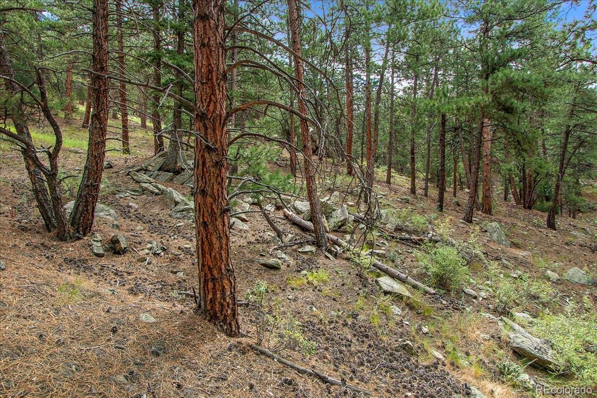 0 Swede Gulch Road Evergreen, CO 80439 - Photo 11 of 22 Gallery Image 11
