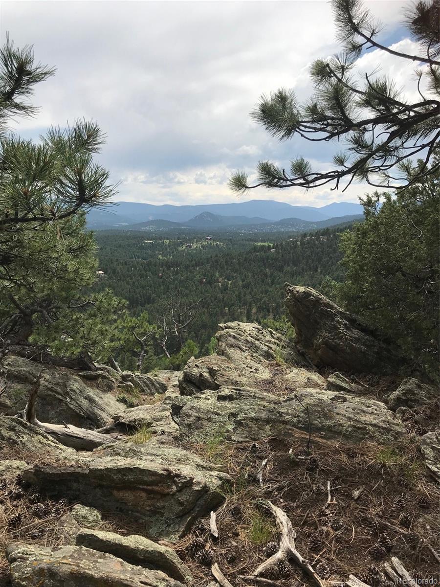 0 Swede Gulch Road Evergreen, CO 80439 - Photo 12 of 22 Gallery Image 12