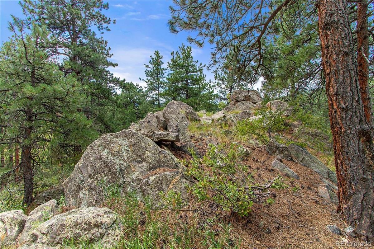 0 Swede Gulch Road Evergreen, CO 80439 - Photo 13 of 22 Gallery Image 13