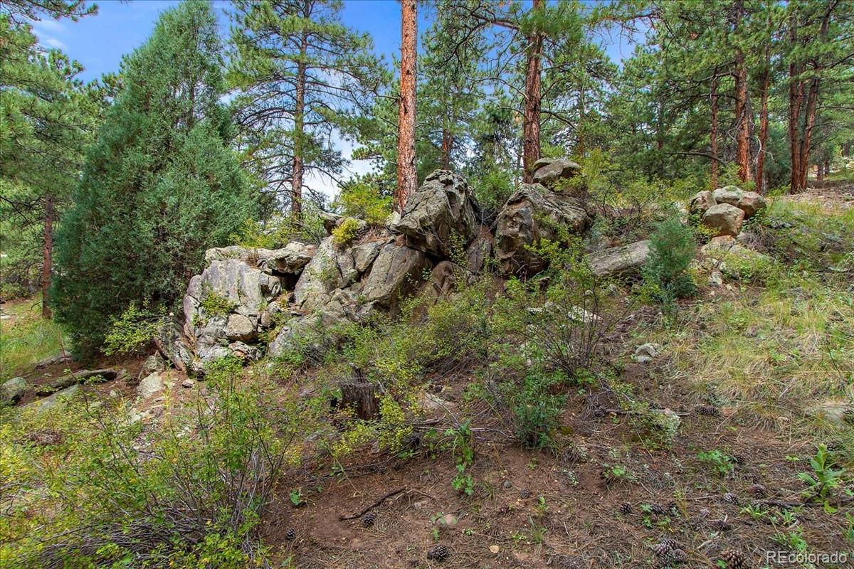 0 Swede Gulch Road Evergreen, CO 80439 - Photo 14 of 22 Gallery Image 14