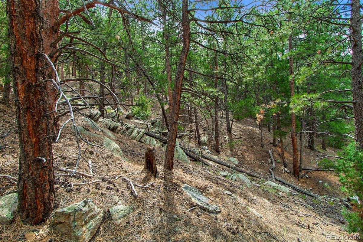 0 Swede Gulch Road Evergreen, CO 80439 - Photo 15 of 22 Gallery Image 15