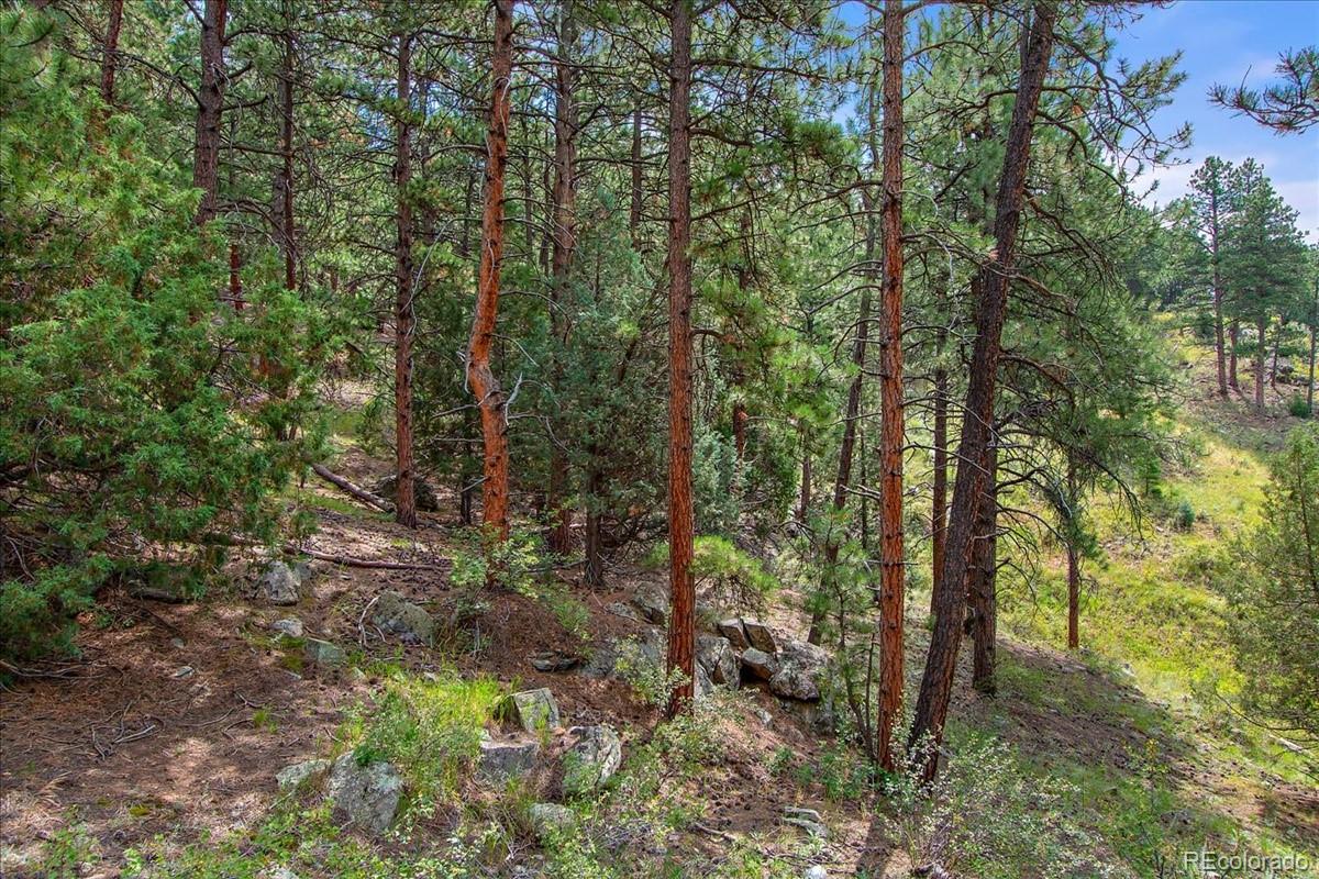 0 Swede Gulch Road Evergreen, CO 80439 - Photo 16 of 22 Gallery Image 16