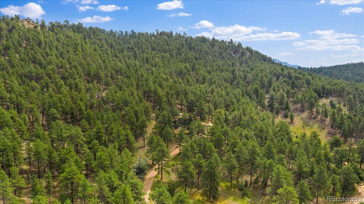 0 Swede Gulch Road Evergreen, CO 80439 - Photo 18 of 22 Gallery Image 18