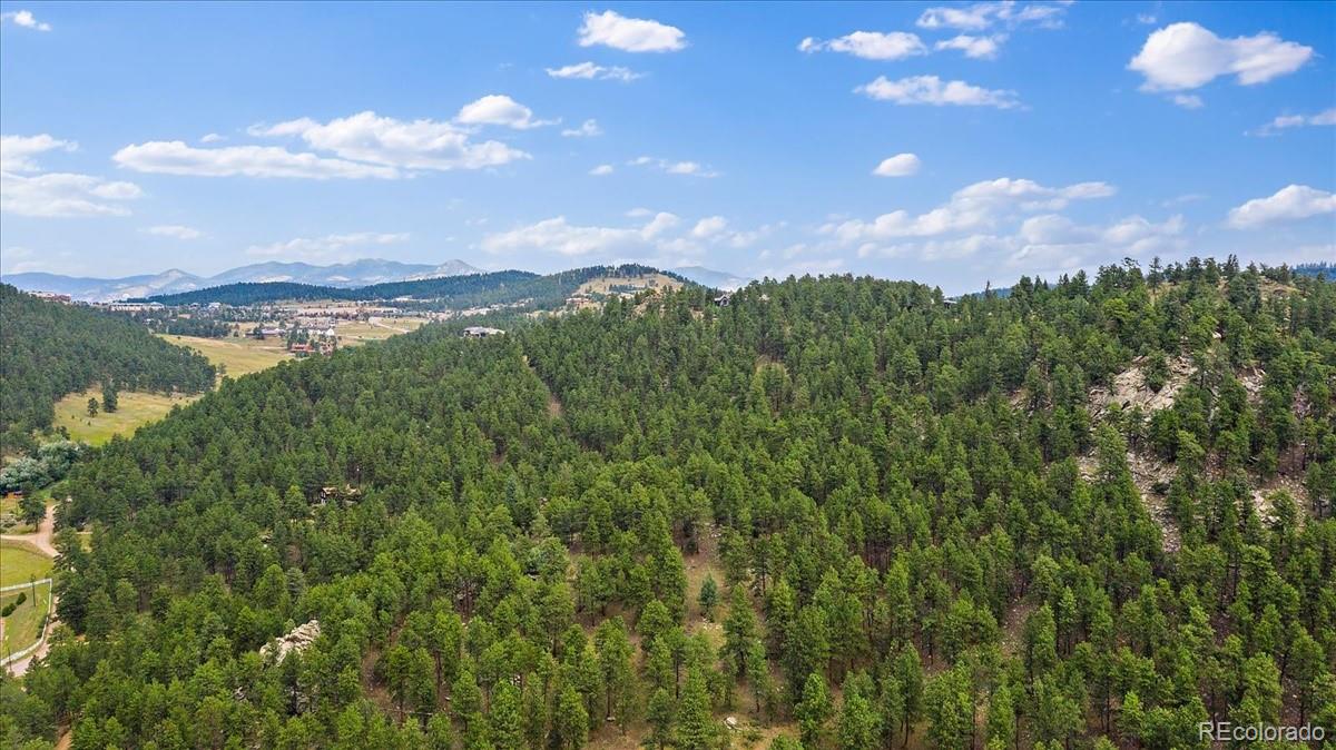 0 Swede Gulch Road Evergreen, CO 80439 - Photo 21 of 22 Gallery Image 21