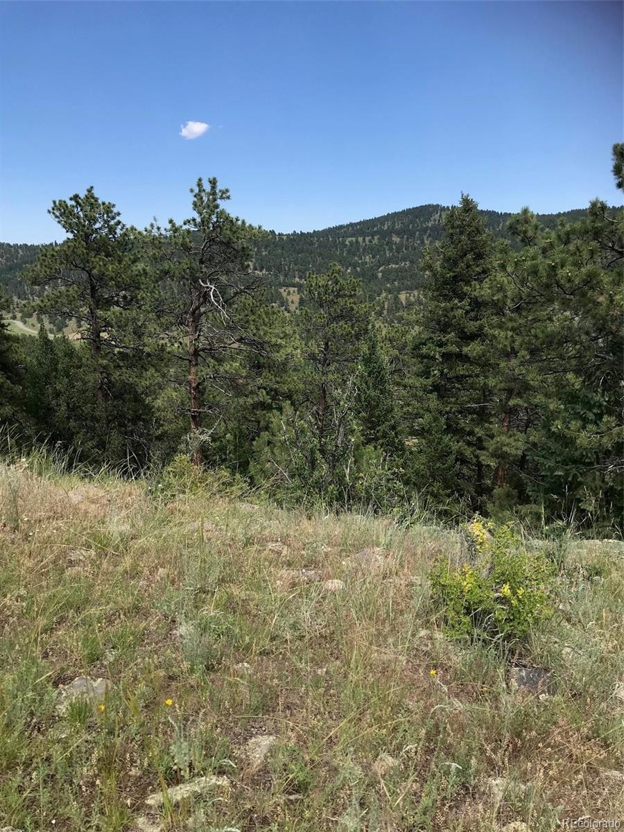 0 Swede Gulch Road Evergreen, CO 80439 - Photo 3 of 22 Gallery Image 3