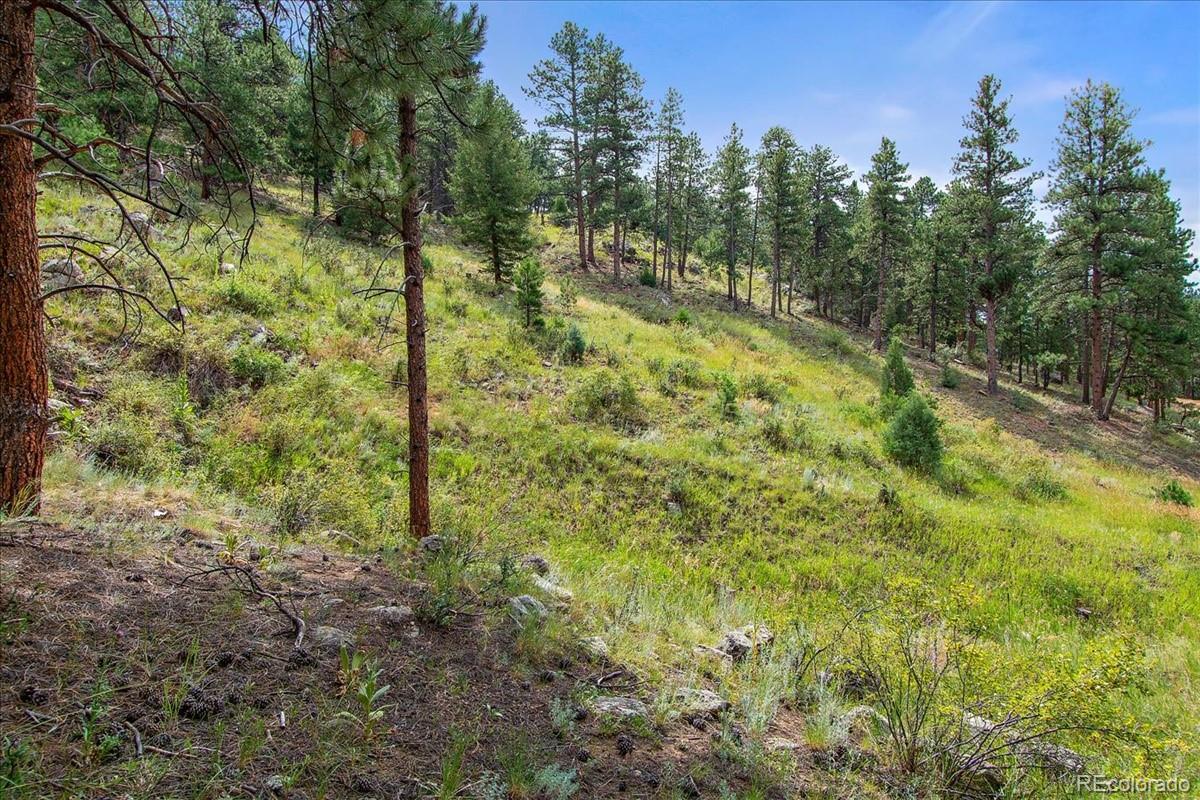 0 Swede Gulch Road Evergreen, CO 80439 - Photo 5 of 22 Gallery Image 5