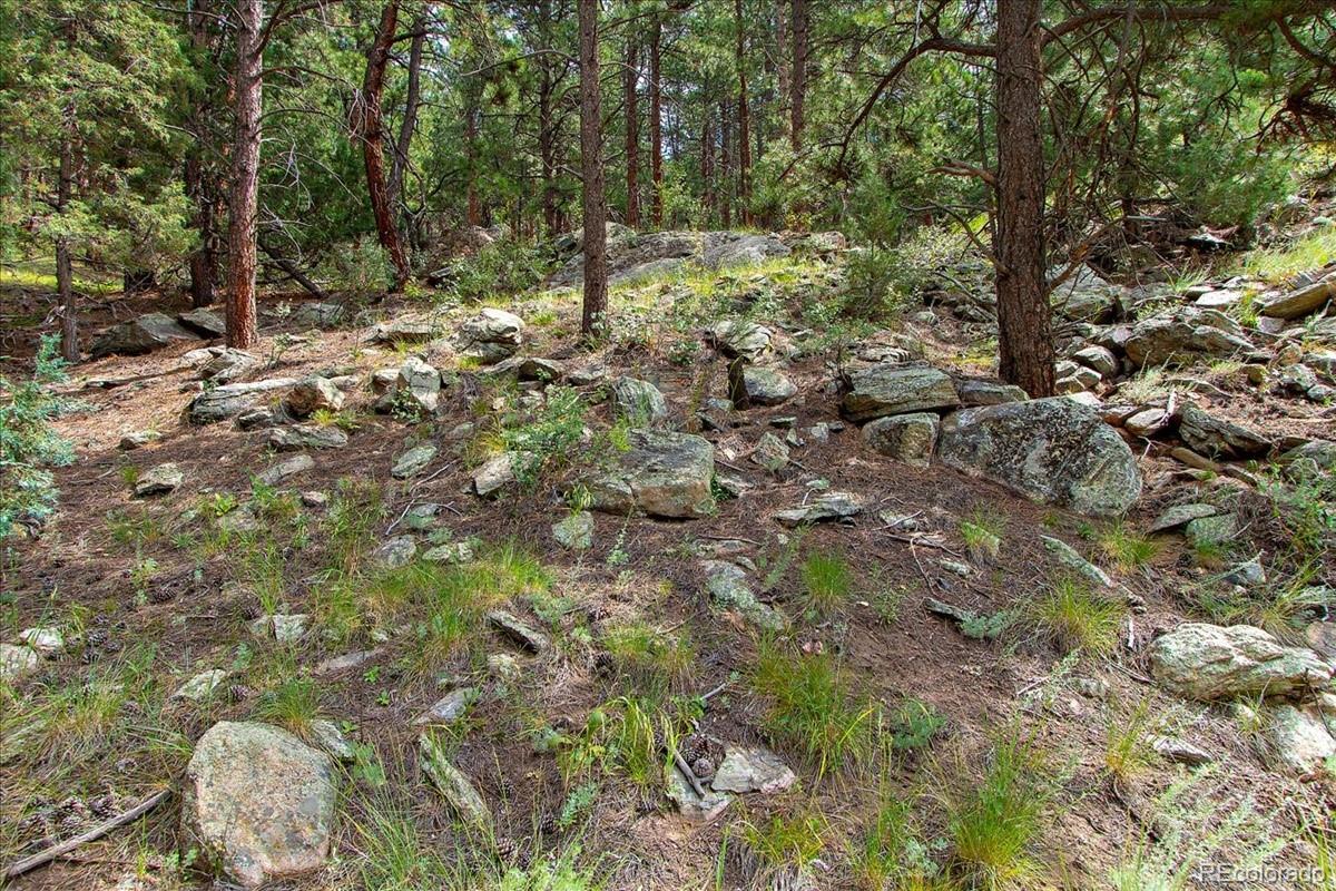 0 Swede Gulch Road Evergreen, CO 80439 - Photo 6 of 22 Gallery Image 6
