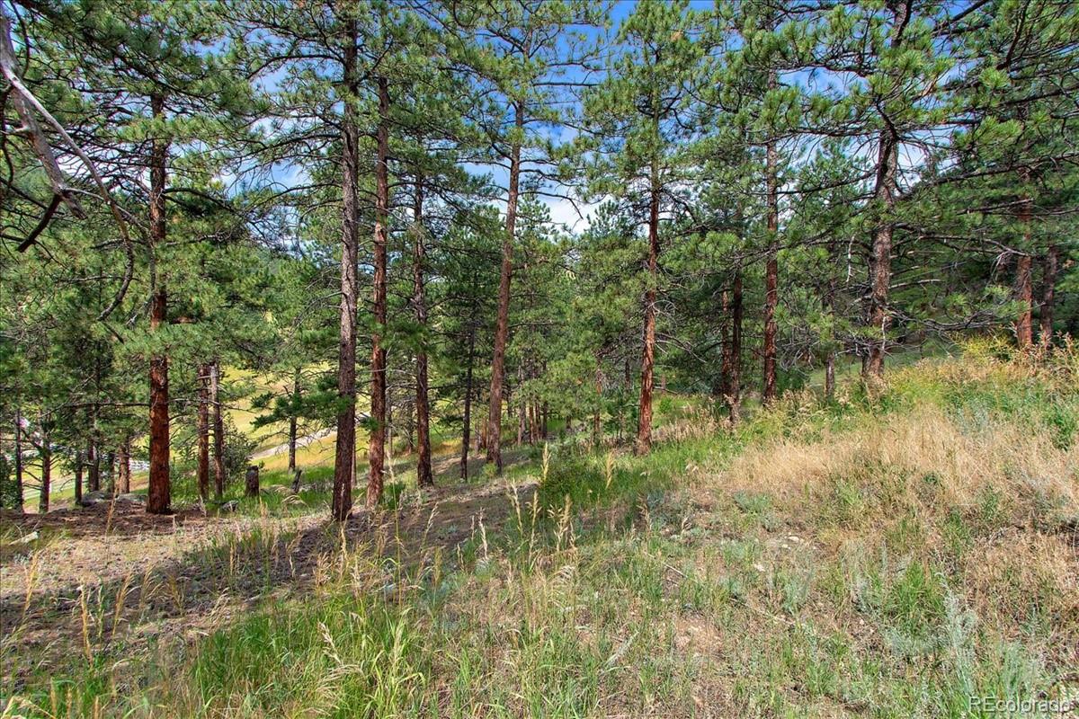 0 Swede Gulch Road Evergreen, CO 80439 - Photo 7 of 22 Gallery Image 7