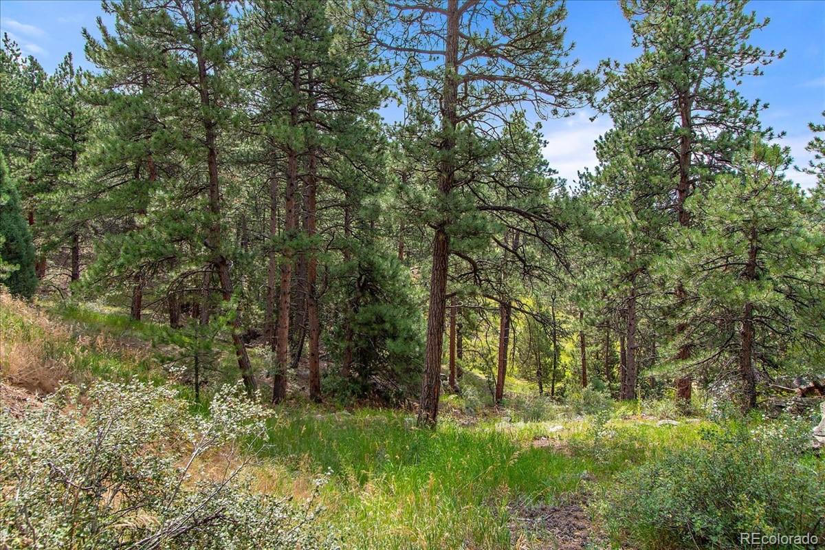 0 Swede Gulch Road Evergreen, CO 80439 - Photo 8 of 22 Gallery Image 8