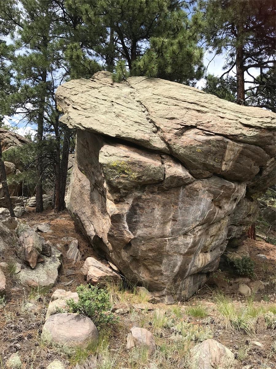 0 Swede Gulch Road Evergreen, CO 80439 - Photo 10 of 22 Gallery Image 10