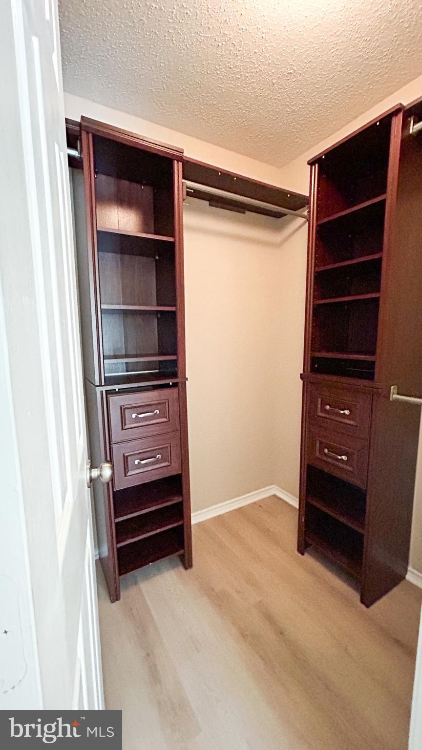 21019 Timber Ridge Terrace, Unit 203 Ashburn, VA 20147 - Photo 15 of 17 Walk-in closet