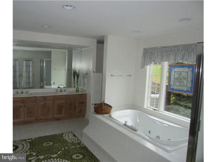 941 Church Lane Road Reading, PA 19606 - Photo 17 of 25 Master Bathroom