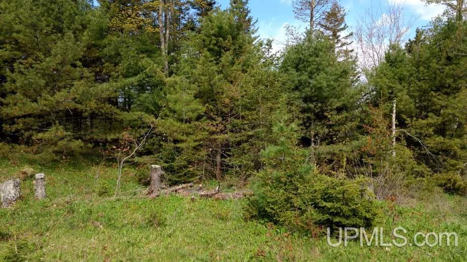 Tbd Boundary Road Chassell, MI 49931 - Photo 8 of 15