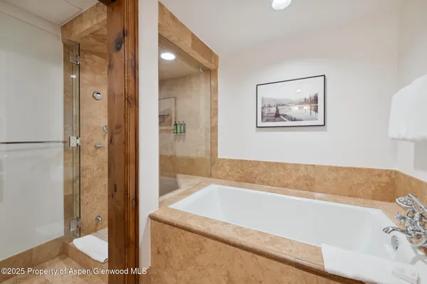 $260,000 | 415 East Dean St Unit 48 Week 8, Aspen, CO 81611