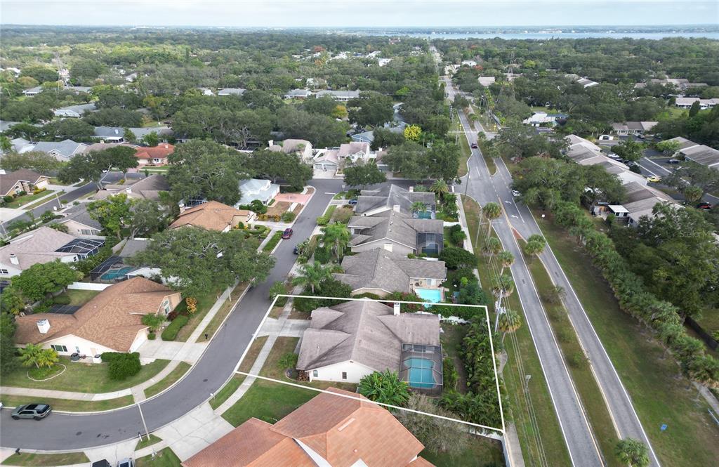44 Ridgecroft Lane Safety Harbor, FL 34695 - Photo 55 of 58 Gallery Image 55