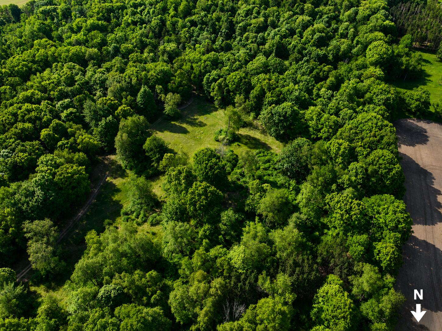 3685 Cypress Road Blanchard, MI 49310 - Photo 26 of 32 North to Bottom (5)