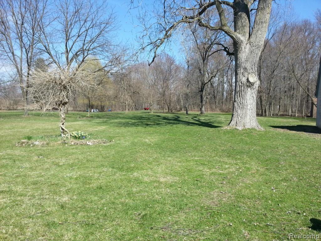 19409 Inkster Road Romulus, MI 48174 - Photo 24 of 27 FRONT YARD.jpg
