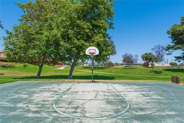 a view of a park with large trees