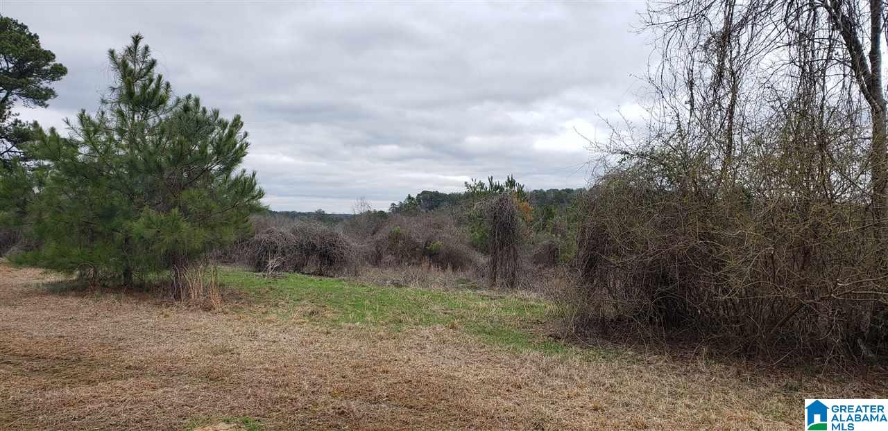 210 Jake Watts Road, Unit 1 Quinton, AL 35130 - Photo 5 of 9 Gallery Image 5