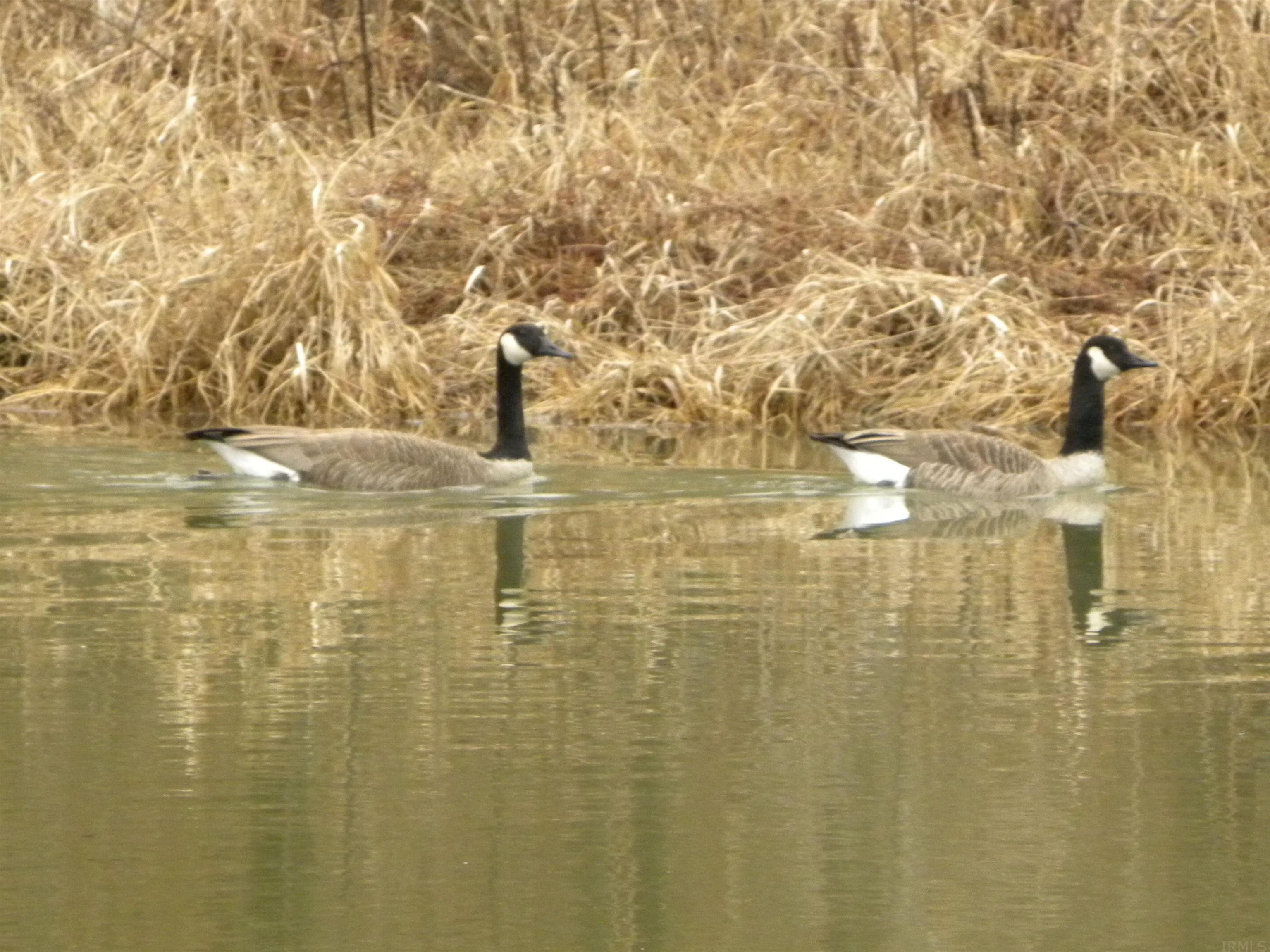 6391 Gloryville Road Freedom, IN 47431 - Photo 20 of 26