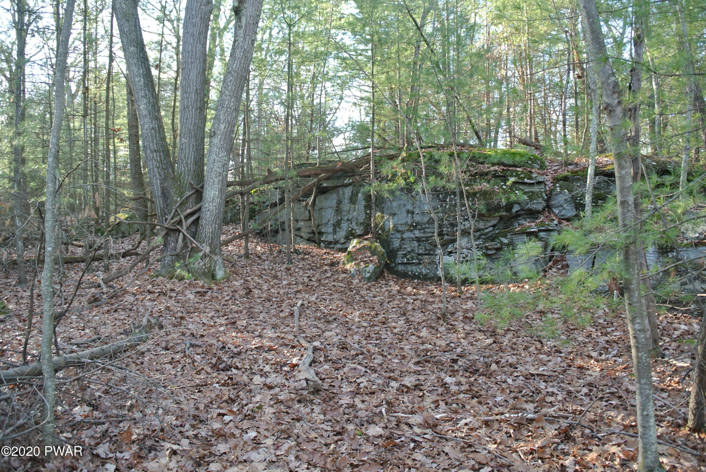 Lot 139 Pitch Pine Road Dingmans Ferry, PA 18328 - Photo 2 of 4
