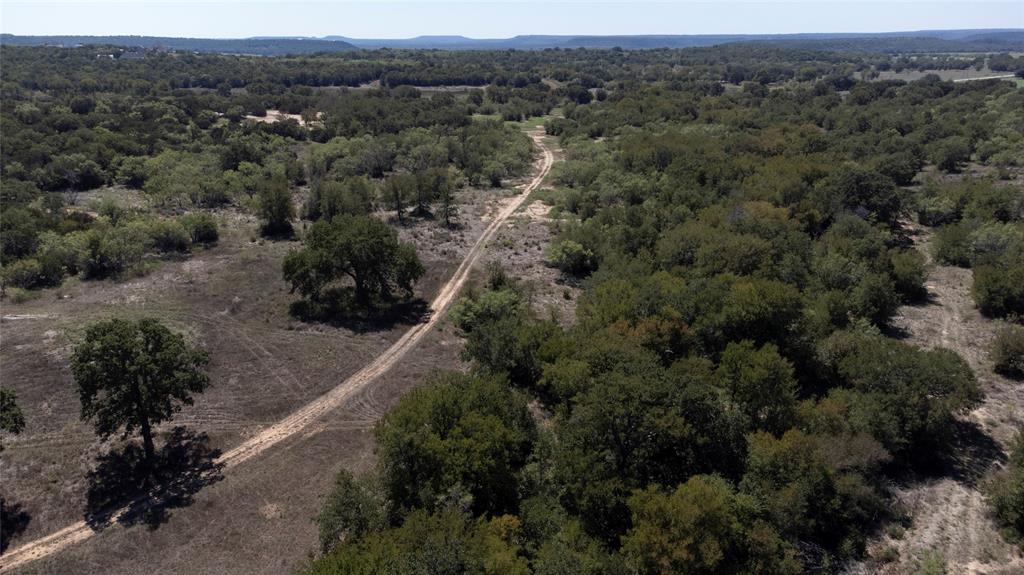 4996 State Highway South Graham, TX 76450 - Photo 5 of 14 Bird's eye view of a forest