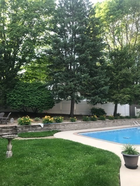 9 Myopia Road Stoneham, MA 02180 - Photo 29 of 39 Gallery Image 29