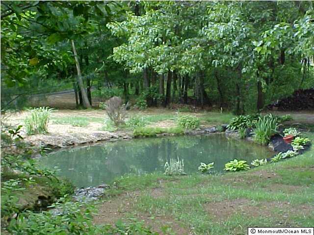 82 Baird Road Millstone Township, NJ 08535 - Photo 3 of 3 a backyard of a house with lots of green space and lake view