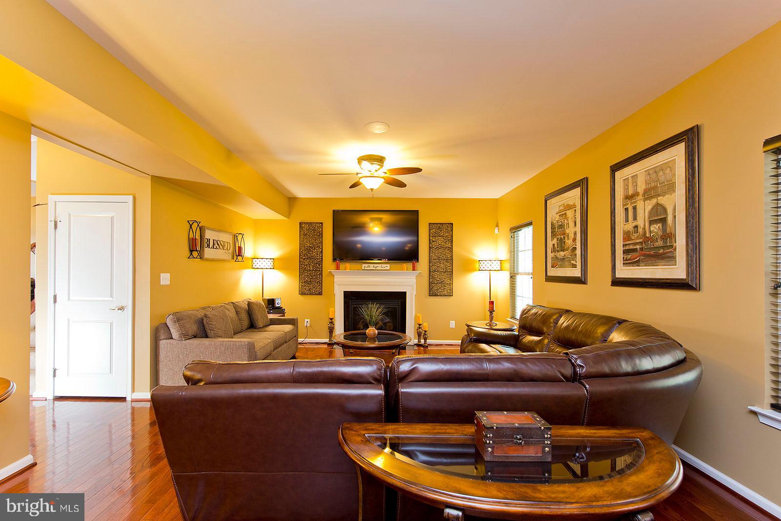 155 Merlot Drive Stephenson, VA 22656 - Photo 11 of 57 Family Room w Fire Place