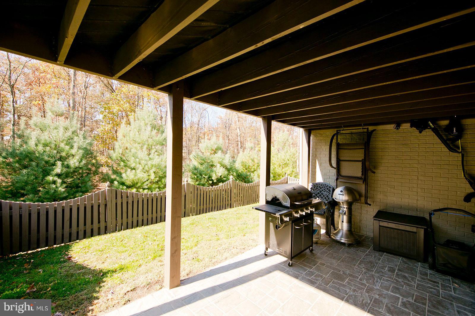 155 Merlot Drive Stephenson, VA 22656 - Photo 51 of 57 Patio off the rec room at the basement level