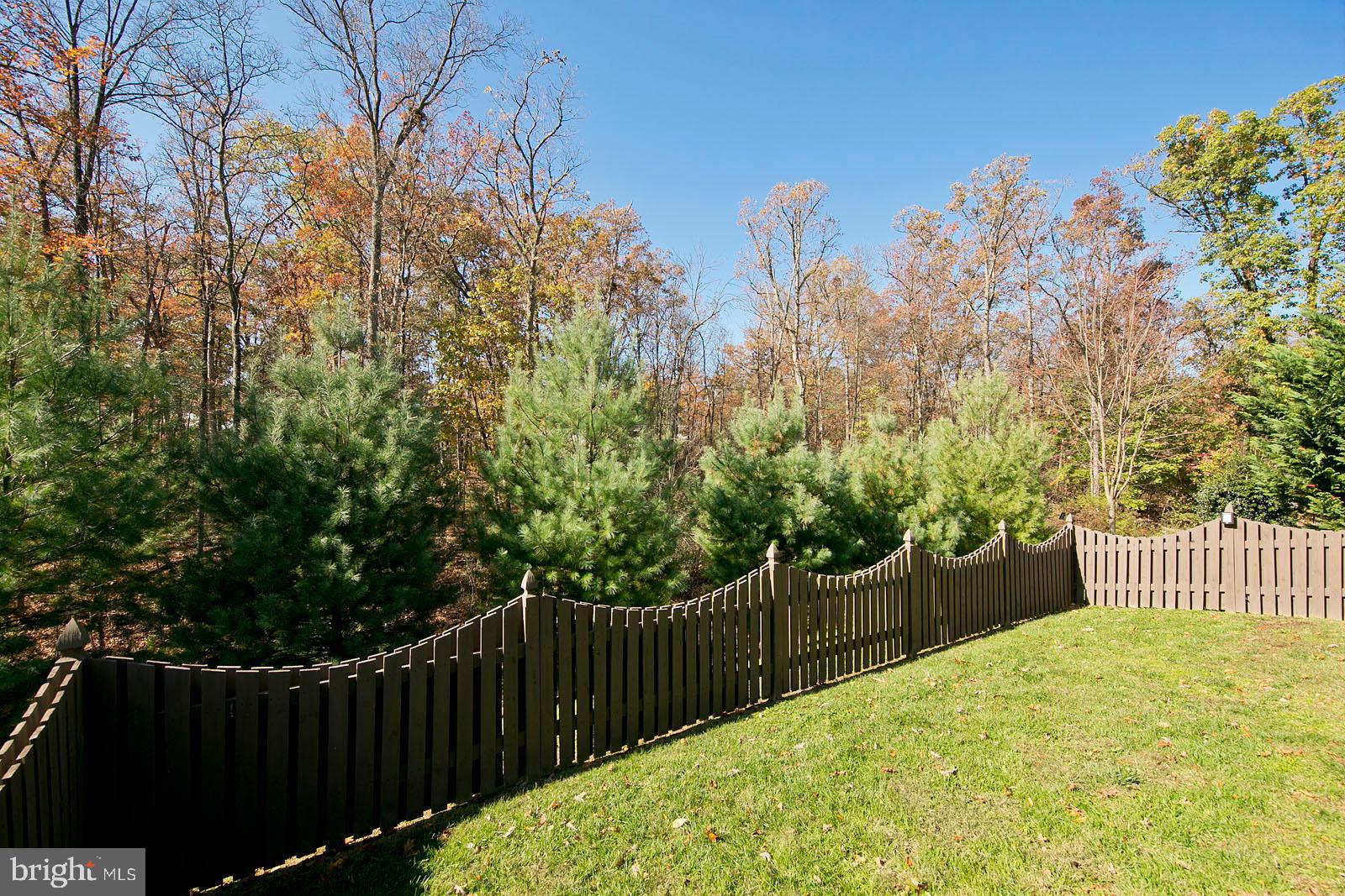 155 Merlot Drive Stephenson, VA 22656 - Photo 53 of 57 Fenced Back Yard