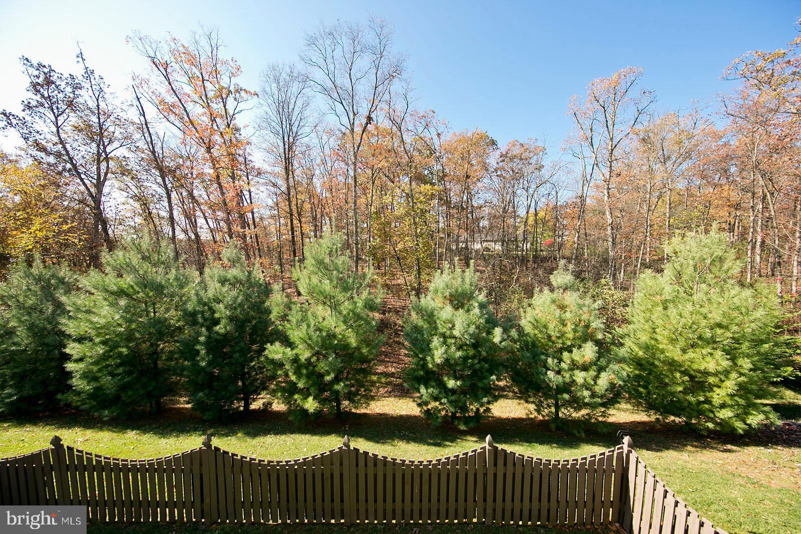 155 Merlot Drive Stephenson, VA 22656 - Photo 54 of 57 Home backs to trees /private back yard