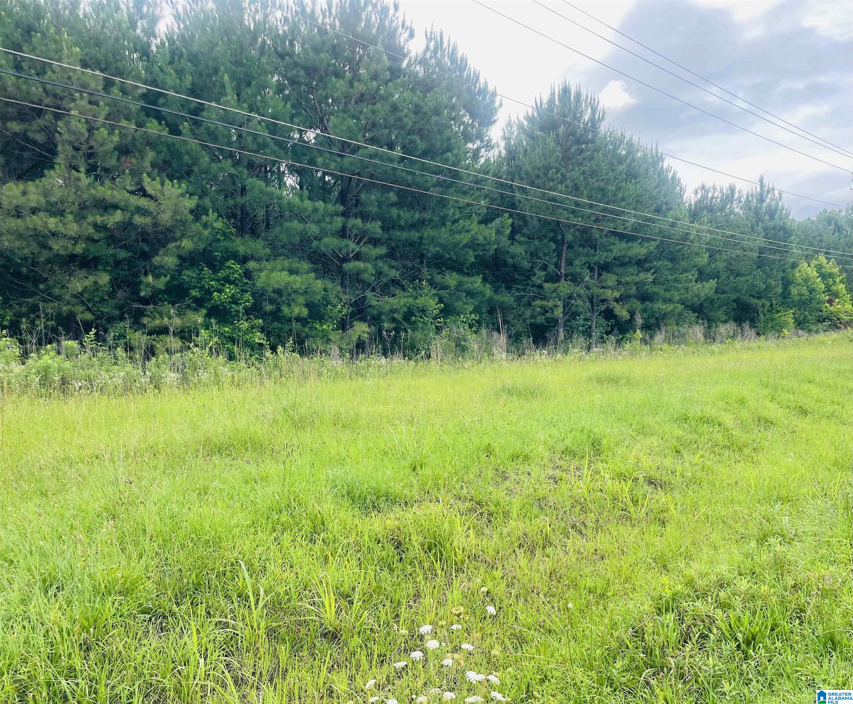 0 Highway 47, Unit 2 Chelsea, AL 35043 - Photo 2 of 19