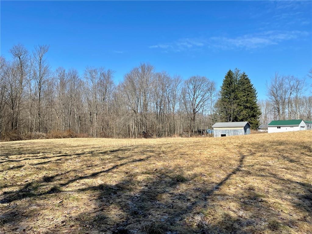 483 Hartwick Road Mercer, PA 16137 - Photo 8 of 10 a view of a yard with trees in the background